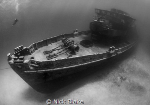 Kittiwake and diver
Grand Cayman by Nick Blake 
